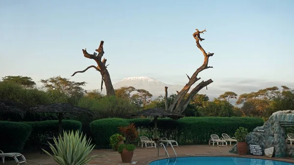 Amboseli, Kenya, Haziran 2018 - yaklaşık Safari Lodge ve kilimandjaro