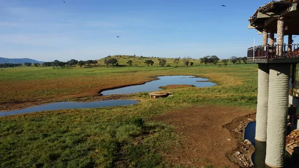 Voi, Kenya, Haziran 2018 - yaklaşık rahat Safari Lodges
