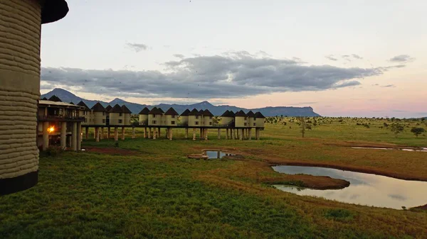 Voi, Kenya, Haziran 2018 - yaklaşık rahat Safari Lodges