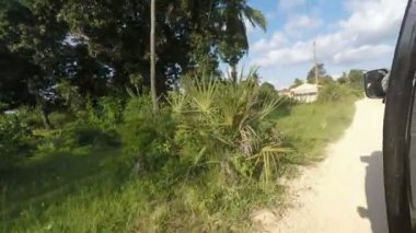 Kenya tropikal peyzaj