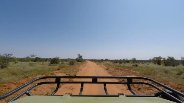 ケニアのサバンナ風景 — ストック動画