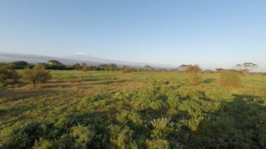 Kenya'da kilimanjaro ile manzara