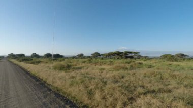 Kenya'da kilimanjaro ile manzara