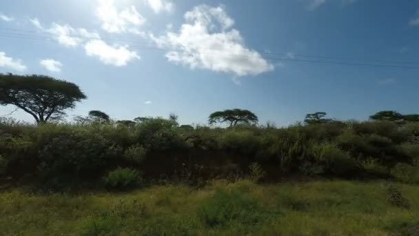 Ulicy Życie Kenii — Wideo stockowe