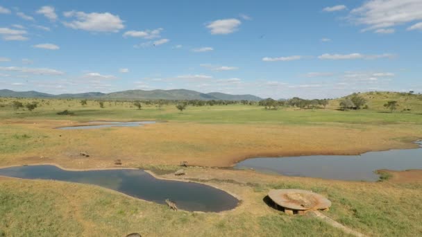 Savanne Landschap Met Water Gat — Stockvideo