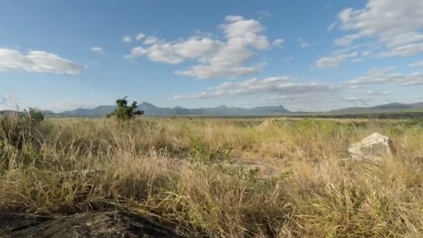 Malerische Landschaft Kenia — Stockvideo
