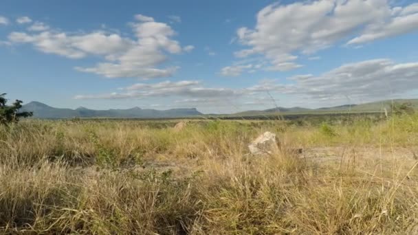 Malerische Landschaft Kenia — Stockvideo