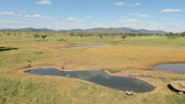 Paesaggio Della Savana Con Pozzo Acqua — Video Stock