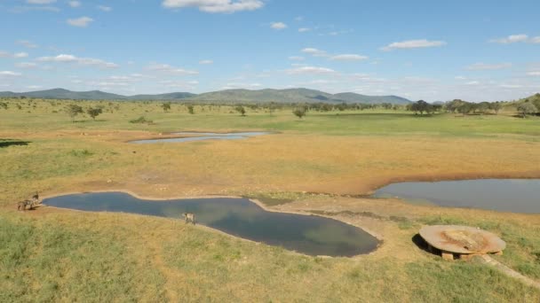 Paesaggio Della Savana Con Pozzo Acqua — Video Stock