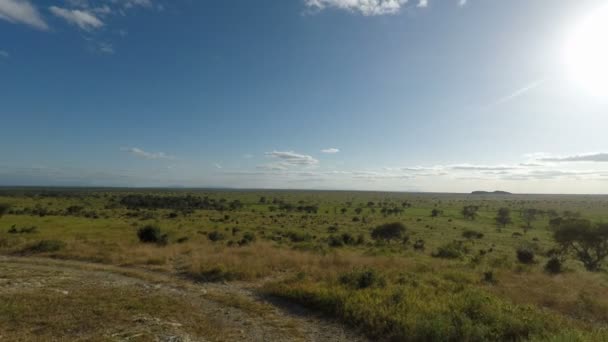 肯尼亚风景秀丽的风景 — 图库视频影像