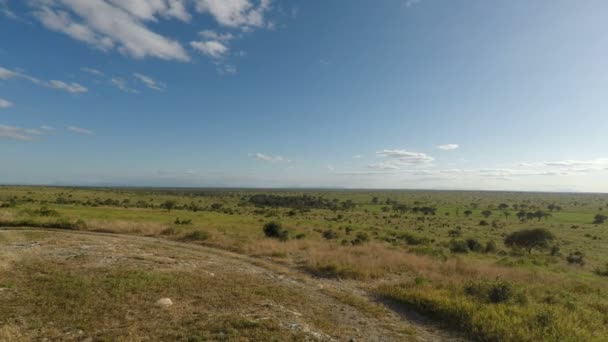 Paesaggio Panoramico Kenya — Video Stock