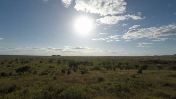 Malebná Krajina Keni — Stock video