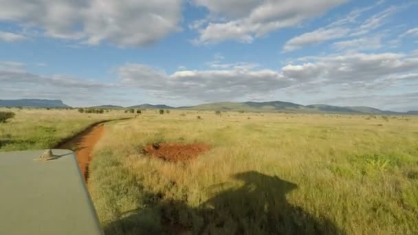 游戏驱动器通过大草原在肯尼亚 — 图库视频影像