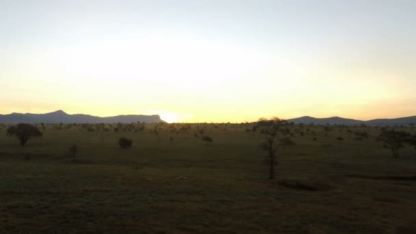 Схід Сонця Над Савана Кенії — стокове відео