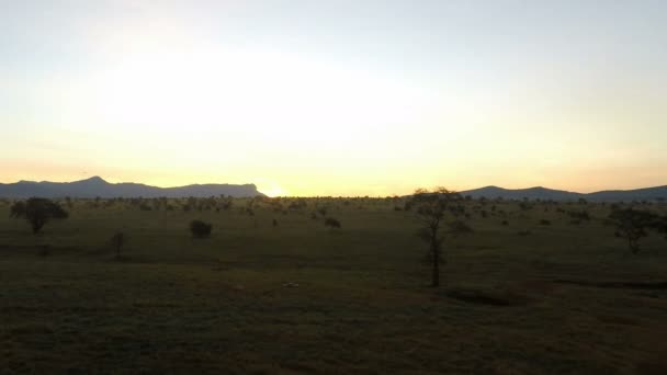 在肯尼亚大草原的日出 — 图库视频影像