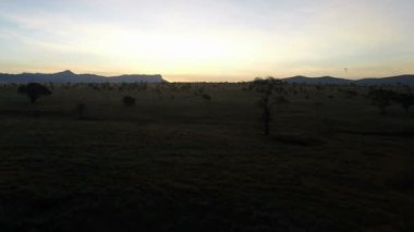 gündoğumu savana Kenya üzerinden