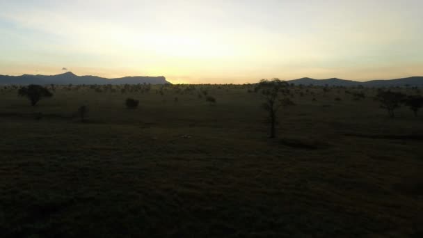 Sonnenaufgang Über Der Savanne Kenia — Stockvideo