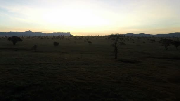 在肯尼亚大草原的日出 — 图库视频影像