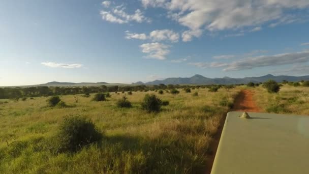 Savana Kenya Üzerinden Oyun Sürücü — Stok video