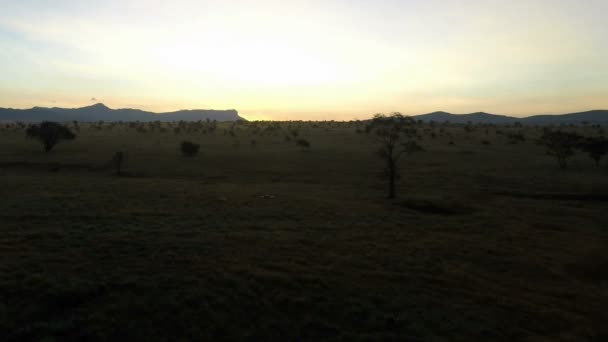 Lever Soleil Sur Savane Kenya — Video