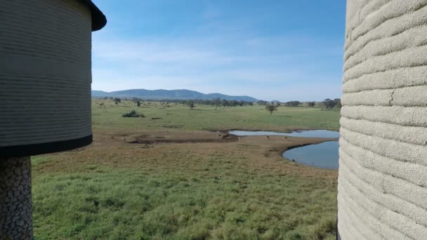Water Gat Kenyas Savanne Middag — Stockvideo