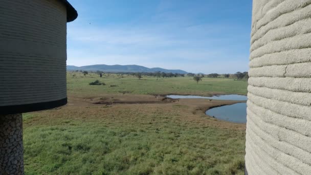 Water Hole Kenyas Savanna Afternoon — Stock Video