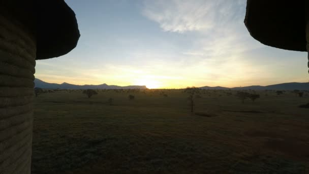 Amanecer Sobre Savanna Kenya — Vídeo de stock