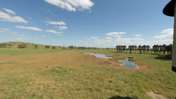 Voi Kenya Juni 2018 Farbenfrohe Landschaft Einer Gemütlichen Lodge — Stockvideo