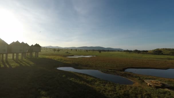 Voi Kenya Juni 2018 Morgens Der Gemütlichen Safari Lodge Kenya — Stockvideo