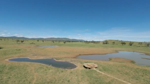 Voi Kenya Juni 2018 Nachmittag Der Gemütlichen Safari Lodge Kenya — Stockvideo