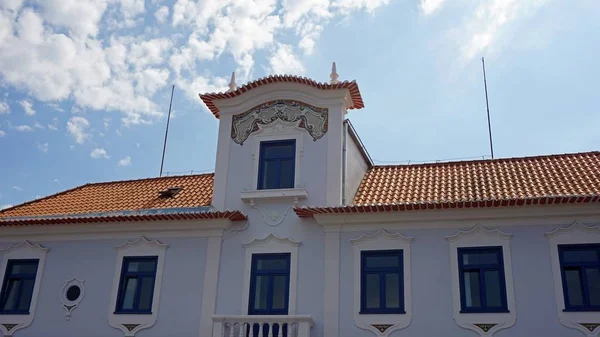 Portugues 镇五颜六色的住宅面积阿威罗 — 图库照片