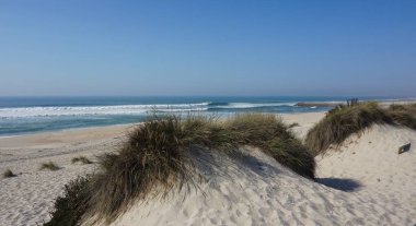 Plaj costa nova Aveiro, kum tepeleri