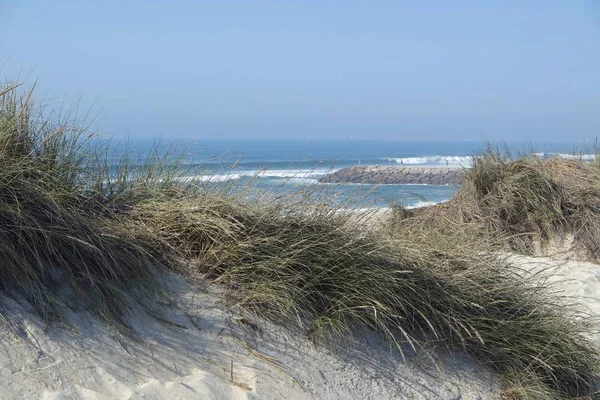 Dunas Areia Praia Costa Nova Aveiro — Fotografia de Stock