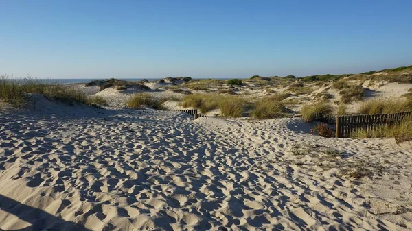 Scenic Landscape Sand Dunes Portugal — Stock Photo, Image