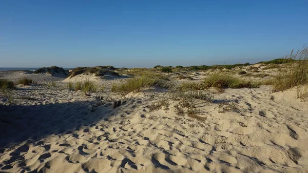 ポルトガルの砂丘が風光明媚な風景 — ストック写真