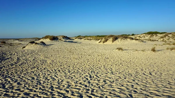 Scenic Landscape Sand Dunes Portugal — Stock Photo, Image