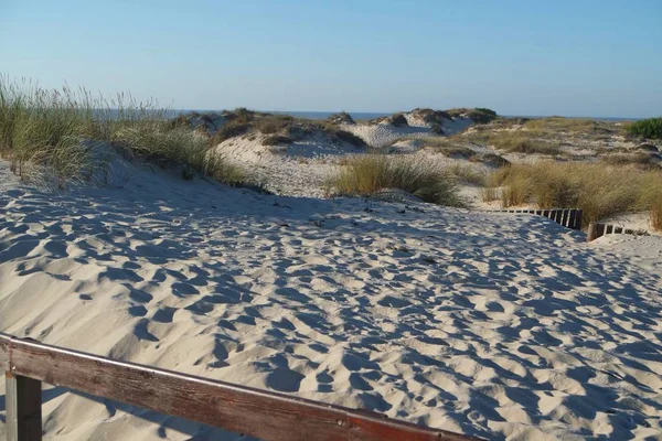 Scenic Landscape Sand Dunes Portugal — Stock Photo, Image