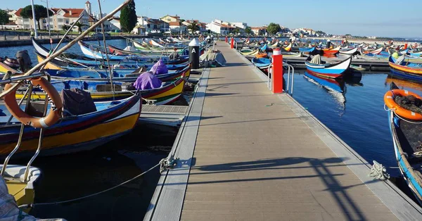 Barcos Pesqueros Tradicionales Puerto Aveiro Portugal —  Fotos de Stock