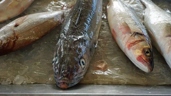 Frischer Fisch Vom Lokalen Fischmarkt Von Aveiro Portugal — Stockfoto