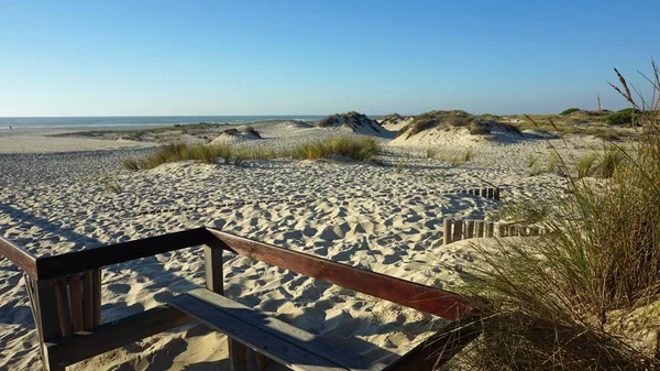 Romantic Afternoon Sand Dunes Aveiro Portugal — Stock Photo, Image