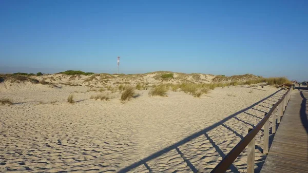 Scenic Landscape Sand Dunes Portugal — Stock Photo, Image