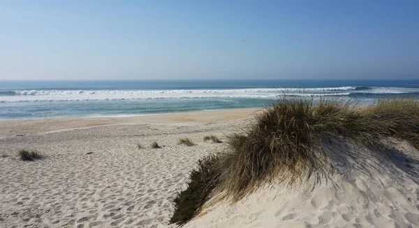 Sand Dunes Beach Costa Nova Aveiro — Stock Photo, Image