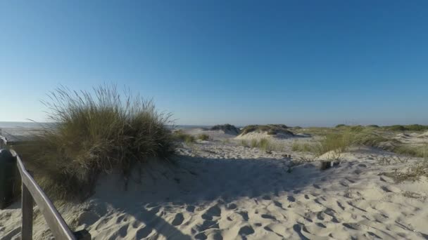après-midi dans les dunes de sable de la plage de sao jacinto en portugais 