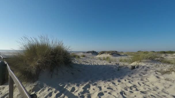 Afternoon Sand Dunes Sao Jacinto Beach Portugal — Stock Video