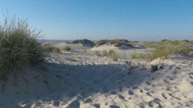 öğleden sonra sao jacinto Beach Portekiz'de kum tepeleri