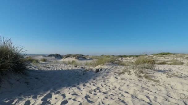 après-midi dans les dunes de sable de la plage de sao jacinto en portugais 