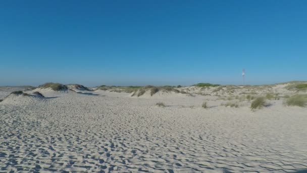 Pomeriggio Alle Dune Sabbia Della Spiaggia Sao Jacinto Portogallo — Video Stock