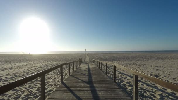 Pomeriggio Alle Dune Sabbia Della Spiaggia Sao Jacinto Portogallo — Video Stock