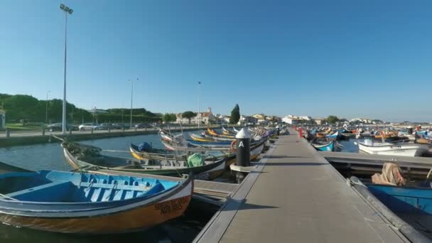 Aveiro Portugal Circa Oktober 2018 Traditionele Moliceiro Fisher Boten Haven — Stockvideo