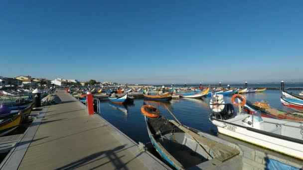 Aveiro Portugal Circa Oktober 2018 Traditionele Moliceiro Fisher Boten Haven — Stockvideo